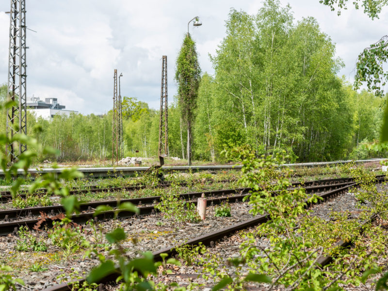 2019-05-14-CAImmo-Muenchen-Landschaftspark-BK-8972