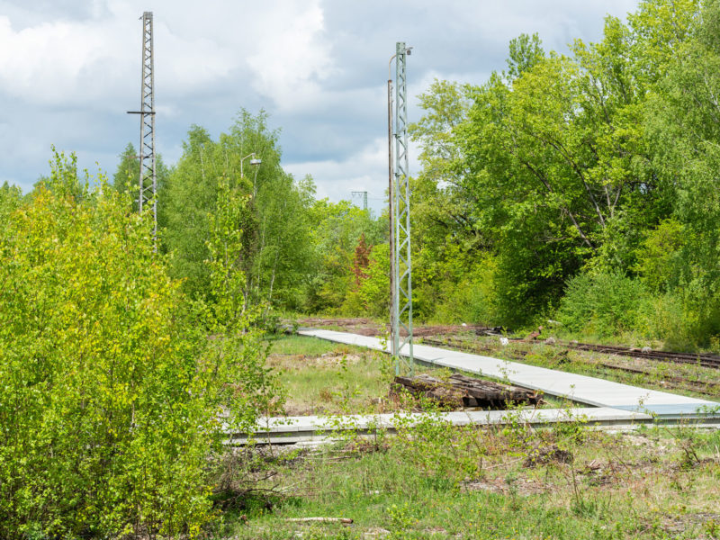 2019-05-14-CAImmo-Muenchen-Landschaftspark-BK-9054